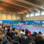 gala-4.jpg